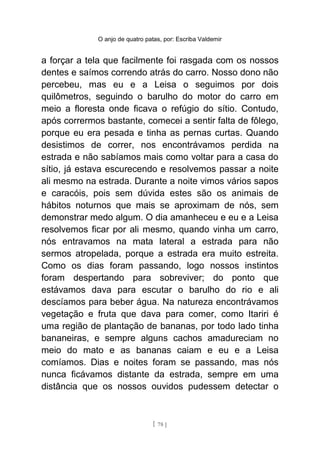 O anjo de quatro patas, por: Escriba Valdemir
a forçar a tela que facilmente foi rasgada com os nossos
dentes e saímos correndo atrás do carro. Nosso dono não
percebeu, mas eu e a Leisa o seguimos por dois
quilômetros, seguindo o barulho do motor do carro em
meio a floresta onde ficava o refúgio do sítio. Contudo,
após corrermos bastante, comecei a sentir falta de fôlego,
porque eu era pesada e tinha as pernas curtas. Quando
desistimos de correr, nos encontrávamos perdida na
estrada e não sabíamos mais como voltar para a casa do
sítio, já estava escurecendo e resolvemos passar a noite
ali mesmo na estrada. Durante a noite vimos vários sapos
e caracóis, pois sem dúvida estes são os animais de
hábitos noturnos que mais se aproximam de nós, sem
demonstrar medo algum. O dia amanheceu e eu e a Leisa
resolvemos ficar por ali mesmo, quando vinha um carro,
nós entravamos na mata lateral a estrada para não
sermos atropelada, porque a estrada era muito estreita.
Como os dias foram passando, logo nossos instintos
foram despertando para sobreviver; do ponto que
estávamos dava para escutar o barulho do rio e ali
descíamos para beber água. Na natureza encontrávamos
vegetação e fruta que dava para comer, como Itariri é
uma região de plantação de bananas, por todo lado tinha
bananeiras, e sempre alguns cachos amadureciam no
meio do mato e as bananas caiam e eu e a Leisa
comíamos. Dias e noites foram se passando, mas nós
nunca ficávamos distante da estrada, sempre em uma
distância que os nossos ouvidos pudessem detectar o
[ 78 ]
 