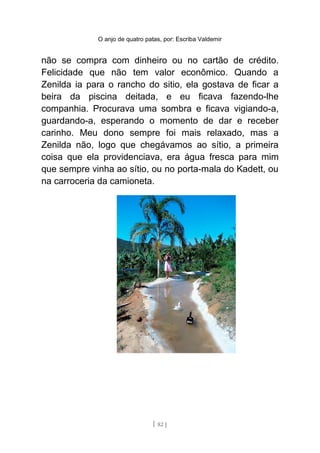 O anjo de quatro patas, por: Escriba Valdemir
não se compra com dinheiro ou no cartão de crédito.
Felicidade que não tem valor econômico. Quando a
Zenilda ia para o rancho do sitio, ela gostava de ficar a
beira da piscina deitada, e eu ficava fazendo-lhe
companhia. Procurava uma sombra e ficava vigiando-a,
guardando-a, esperando o momento de dar e receber
carinho. Meu dono sempre foi mais relaxado, mas a
Zenilda não, logo que chegávamos ao sítio, a primeira
coisa que ela providenciava, era água fresca para mim
que sempre vinha ao sítio, ou no porta-mala do Kadett, ou
na carroceria da camioneta.
[ 82 ]
 