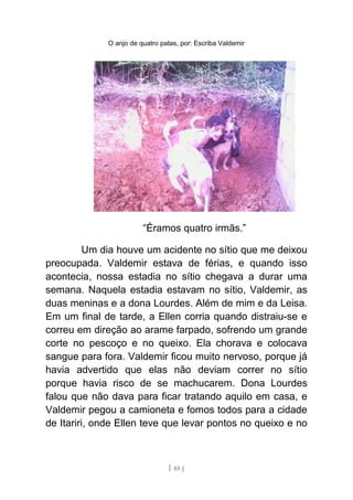 O anjo de quatro patas, por: Escriba Valdemir
“Éramos quatro irmãs.”
Um dia houve um acidente no sítio que me deixou
preocupada. Valdemir estava de férias, e quando isso
acontecia, nossa estadia no sítio chegava a durar uma
semana. Naquela estadia estavam no sítio, Valdemir, as
duas meninas e a dona Lourdes. Além de mim e da Leisa.
Em um final de tarde, a Ellen corria quando distraiu-se e
correu em direção ao arame farpado, sofrendo um grande
corte no pescoço e no queixo. Ela chorava e colocava
sangue para fora. Valdemir ficou muito nervoso, porque já
havia advertido que elas não deviam correr no sítio
porque havia risco de se machucarem. Dona Lourdes
falou que não dava para ficar tratando aquilo em casa, e
Valdemir pegou a camioneta e fomos todos para a cidade
de Itariri, onde Ellen teve que levar pontos no queixo e no
[ 85 ]
 