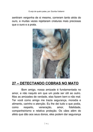 O anjo de quatro patas, por: Escriba Valdemir
sentiram vergonha de si mesmo, correram tanto atrás do
ouro, e muitas vezes rejeitaram criaturas mais preciosas
que o ouro e a prata.
27 – DETECTANDO COBRAS NO MATO
Bom amigo, nossa amizade é fundamentada no
amor, e não naquilo em que um pode ser útil ao outro.
Mas as amizades de verdade, elas fazem bem e não mal.
Ter você como amigo me trazia segurança, moradia e
alimento, carinho e atenção. Eu lhe dei tudo o que podia,
como respeito, veneração, amor, fidelidade,
companheirismo e relativa proteção. Os cães além do
afeto que dão aos seus donos, eles podem dar segurança
[ 96 ]
 