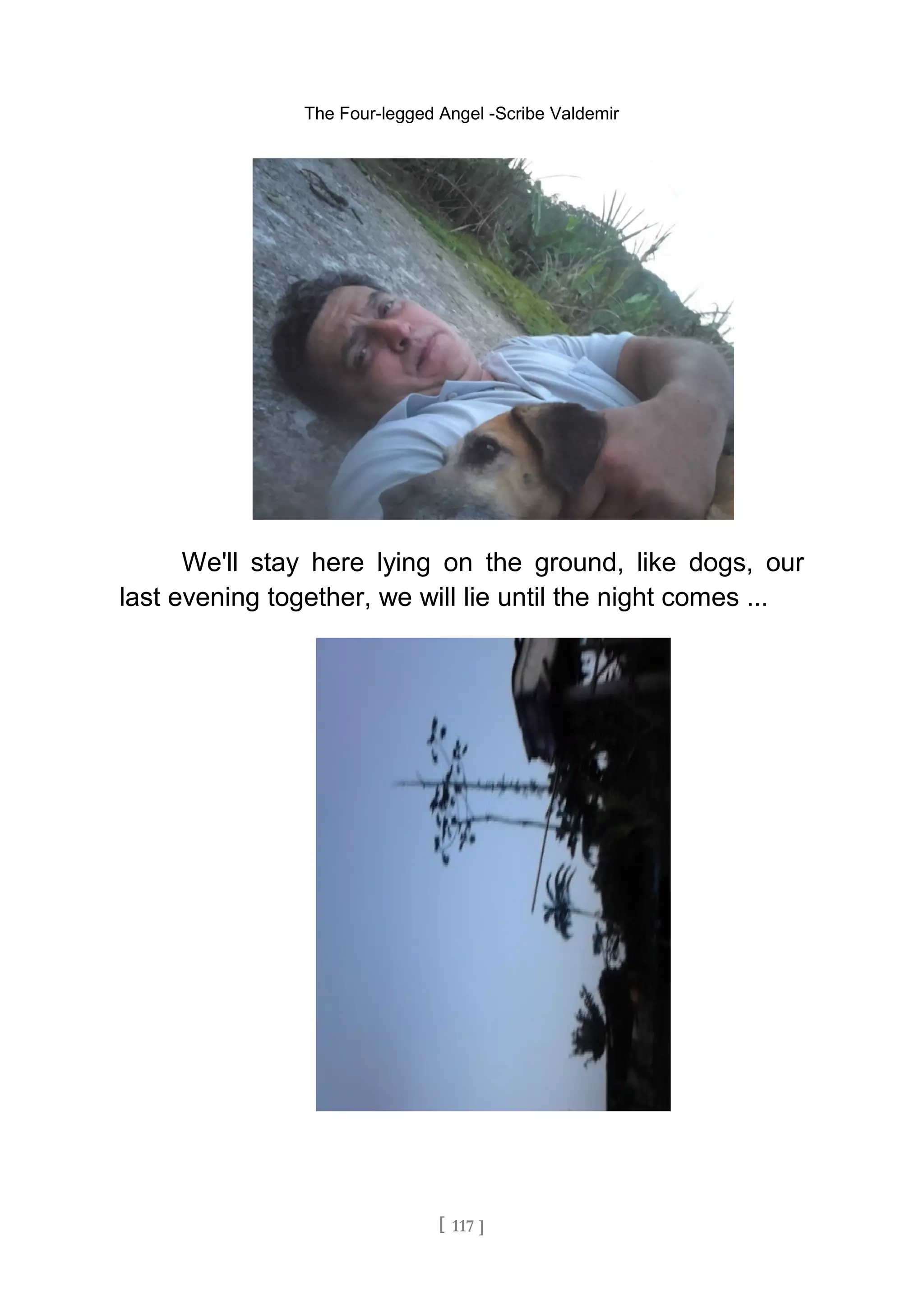 The Four-legged Angel -Scribe Valdemir
We'll stay here lying on the ground, like dogs, our
last evening together, we will lie until the night comes ...
[ 117 ]
 