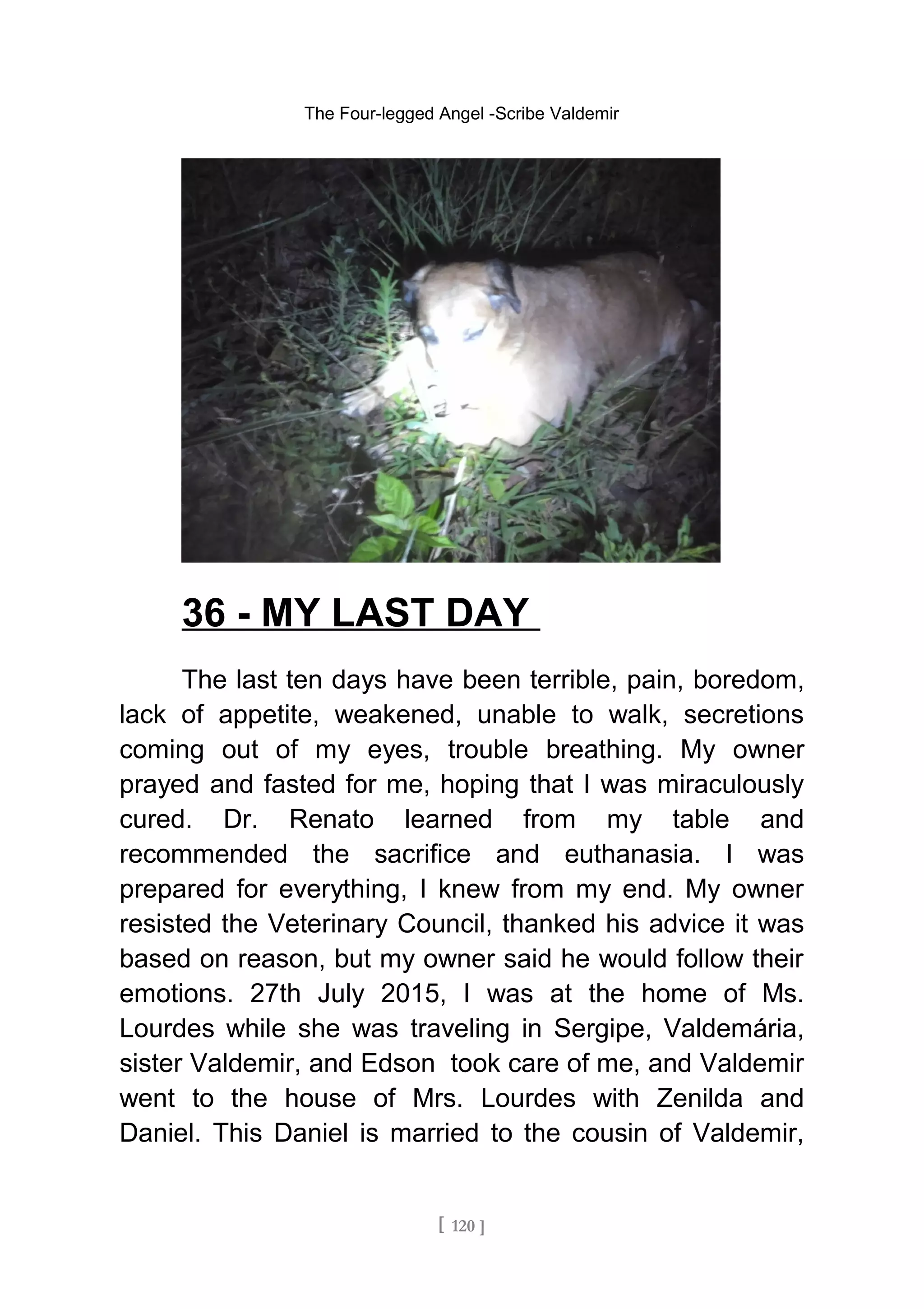 The Four-legged Angel -Scribe Valdemir
36 - MY LAST DAY
The last ten days have been terrible, pain, boredom,
lack of appetite, weakened, unable to walk, secretions
coming out of my eyes, trouble breathing. My owner
prayed and fasted for me, hoping that I was miraculously
cured. Dr. Renato learned from my table and
recommended the sacrifice and euthanasia. I was
prepared for everything, I knew from my end. My owner
resisted the Veterinary Council, thanked his advice it was
based on reason, but my owner said he would follow their
emotions. 27th July 2015, I was at the home of Ms.
Lourdes while she was traveling in Sergipe, Valdemária,
sister Valdemir, and Edson took care of me, and Valdemir
went to the house of Mrs. Lourdes with Zenilda and
Daniel. This Daniel is married to the cousin of Valdemir,
[ 120 ]
 