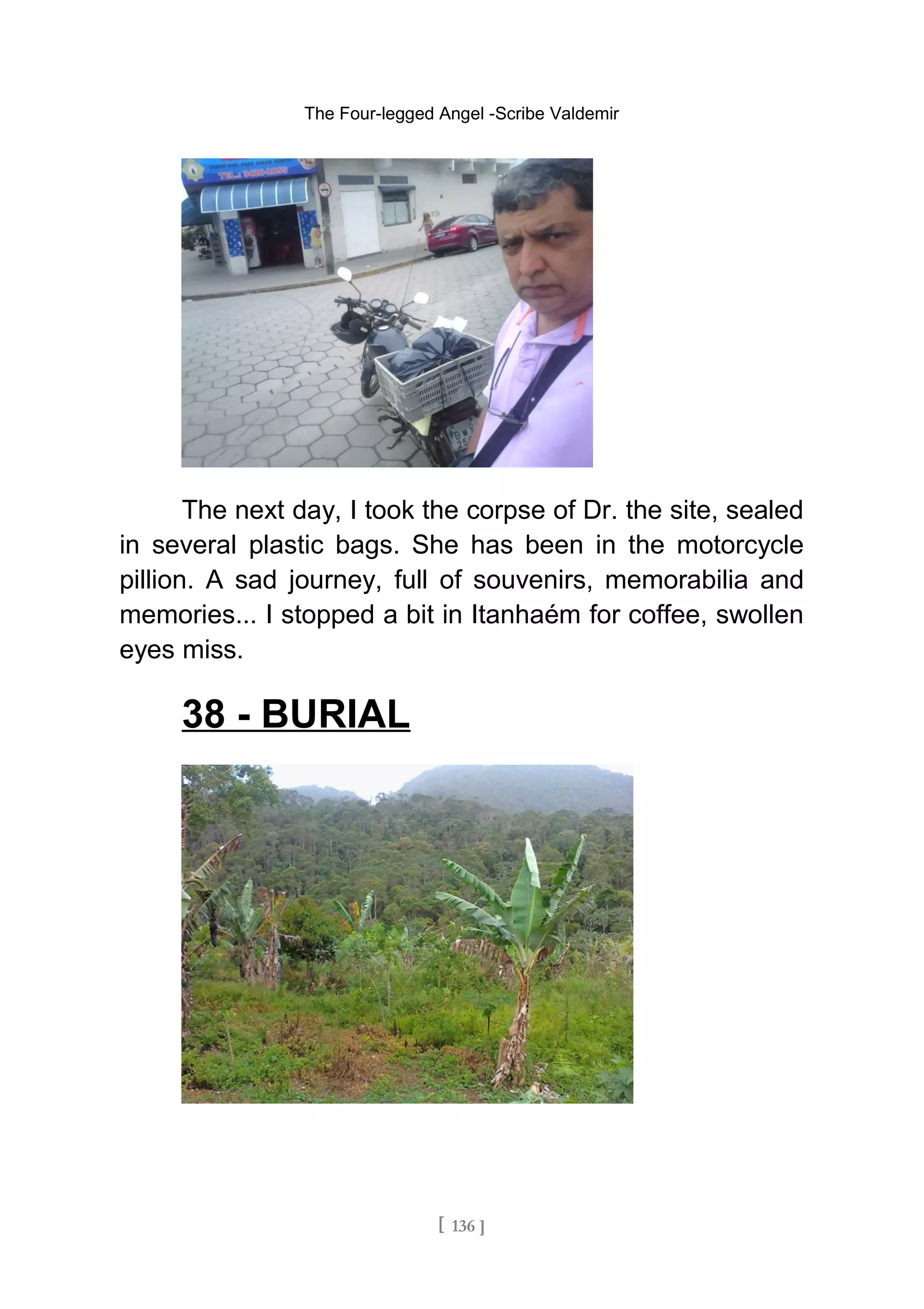 The Four-legged Angel -Scribe Valdemir
The next day, I took the corpse of Dr. the site, sealed
in several plastic bags. She has been in the motorcycle
pillion. A sad journey, full of souvenirs, memorabilia and
memories... I stopped a bit in Itanhaém for coffee, swollen
eyes miss.
38 - BURIAL
[ 136 ]
 
