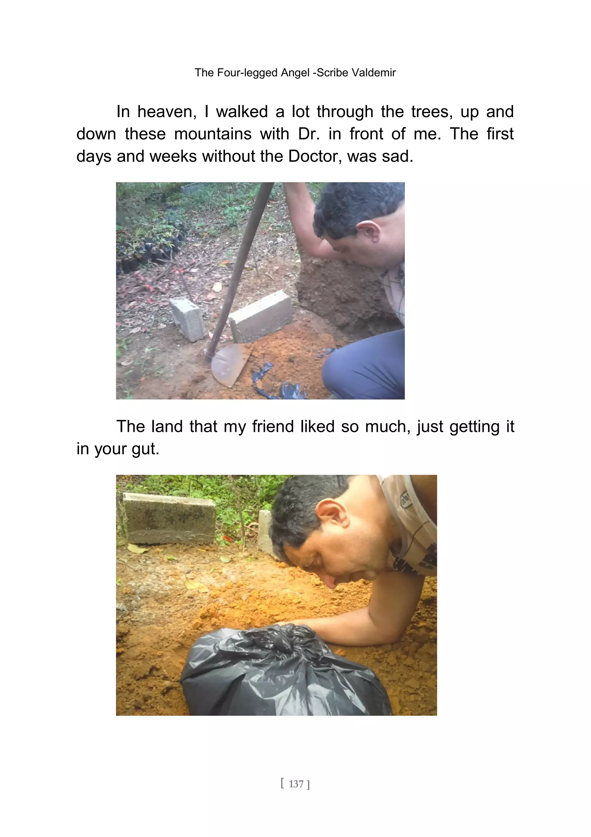 The Four-legged Angel -Scribe Valdemir
In heaven, I walked a lot through the trees, up and
down these mountains with Dr. in front of me. The first
days and weeks without the Doctor, was sad.
The land that my friend liked so much, just getting it
in your gut.
[ 137 ]
 