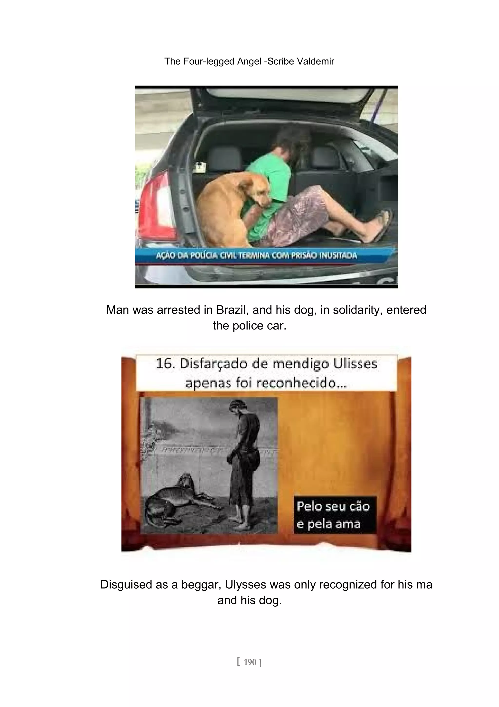 The Four-legged Angel -Scribe Valdemir
Man was arrested in Brazil, and his dog, in solidarity, entered
the police car.
Disguised as a beggar, Ulysses was only recognized for his ma
and his dog.
[ 190 ]
 