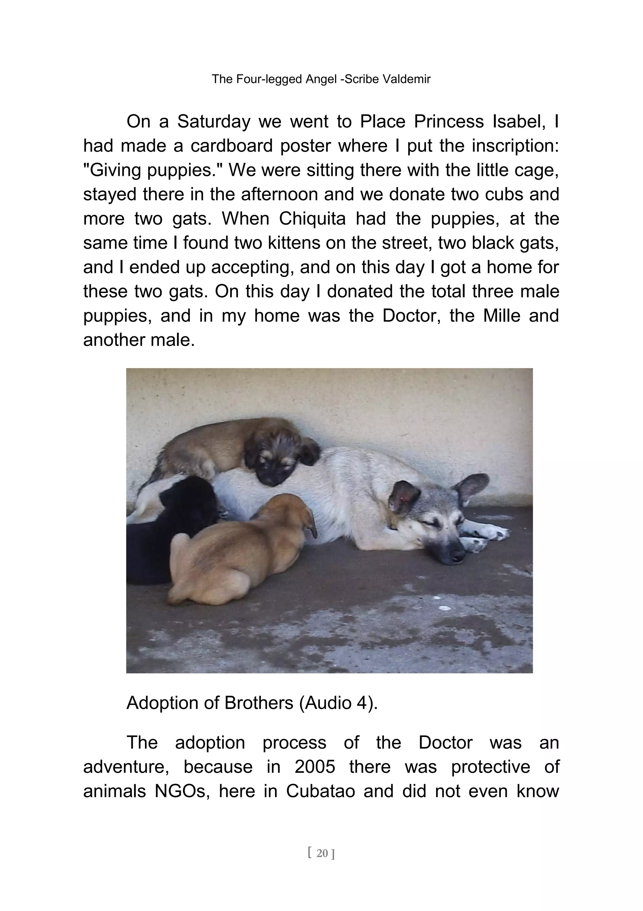 The Four-legged Angel -Scribe Valdemir
On a Saturday we went to Place Princess Isabel, I
had made a cardboard poster where I put the inscription:
"Giving puppies." We were sitting there with the little cage,
stayed there in the afternoon and we donate two cubs and
more two gats. When Chiquita had the puppies, at the
same time I found two kittens on the street, two black gats,
and I ended up accepting, and on this day I got a home for
these two gats. On this day I donated the total three male
puppies, and in my home was the Doctor, the Mille and
another male.
Adoption of Brothers (Audio 4).
The adoption process of the Doctor was an
adventure, because in 2005 there was protective of
animals NGOs, here in Cubatao and did not even know
[ 20 ]
 