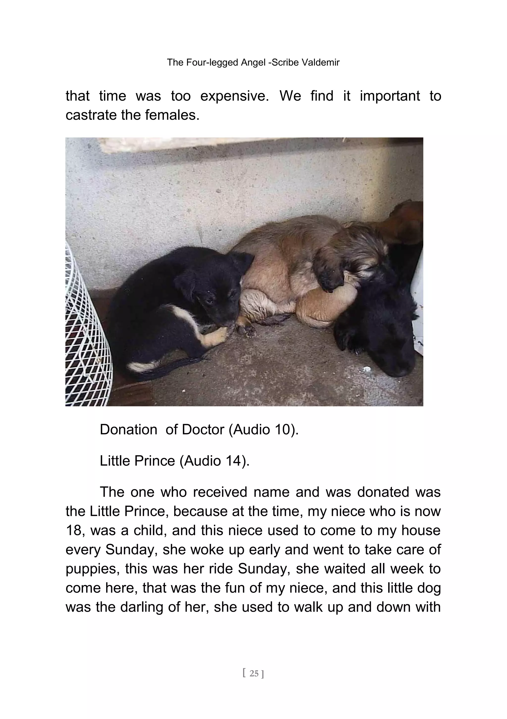 The Four-legged Angel -Scribe Valdemir
that time was too expensive. We find it important to
castrate the females.
Donation of Doctor (Audio 10).
Little Prince (Audio 14).
The one who received name and was donated was
the Little Prince, because at the time, my niece who is now
18, was a child, and this niece used to come to my house
every Sunday, she woke up early and went to take care of
puppies, this was her ride Sunday, she waited all week to
come here, that was the fun of my niece, and this little dog
was the darling of her, she used to walk up and down with
[ 25 ]
 