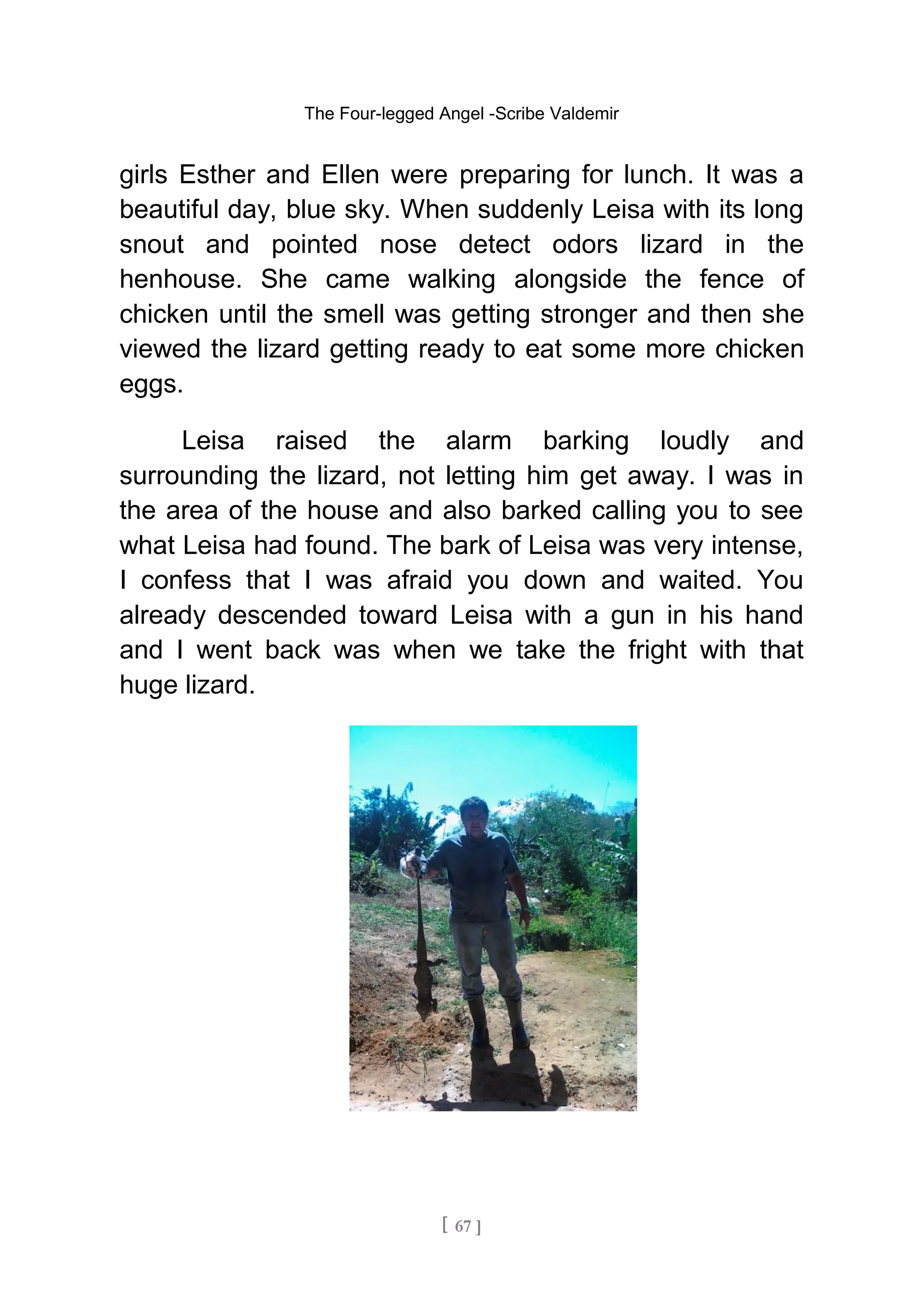 The Four-legged Angel -Scribe Valdemir
girls Esther and Ellen were preparing for lunch. It was a
beautiful day, blue sky. When suddenly Leisa with its long
snout and pointed nose detect odors lizard in the
henhouse. She came walking alongside the fence of
chicken until the smell was getting stronger and then she
viewed the lizard getting ready to eat some more chicken
eggs.
Leisa raised the alarm barking loudly and
surrounding the lizard, not letting him get away. I was in
the area of the house and also barked calling you to see
what Leisa had found. The bark of Leisa was very intense,
I confess that I was afraid you down and waited. You
already descended toward Leisa with a gun in his hand
and I went back was when we take the fright with that
huge lizard.
[ 67 ]
 
