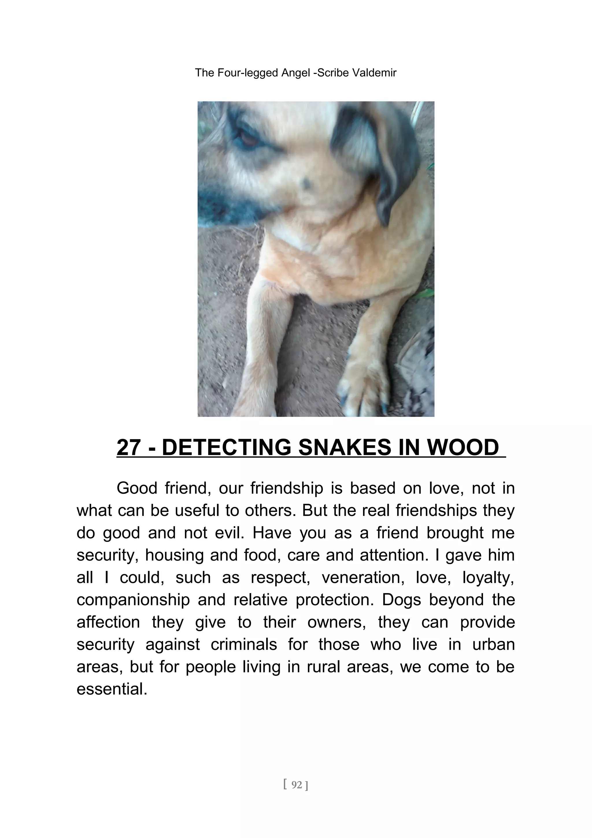 The Four-legged Angel -Scribe Valdemir
27 - DETECTING SNAKES IN WOOD
Good friend, our friendship is based on love, not in
what can be useful to others. But the real friendships they
do good and not evil. Have you as a friend brought me
security, housing and food, care and attention. I gave him
all I could, such as respect, veneration, love, loyalty,
companionship and relative protection. Dogs beyond the
affection they give to their owners, they can provide
security against criminals for those who live in urban
areas, but for people living in rural areas, we come to be
essential.
[ 92 ]
 