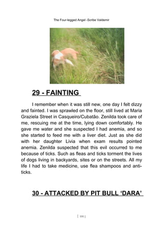 The Four-legged Angel -Scribe Valdemir
29 - FAINTING
I remember when it was still new, one day I felt dizzy
and fainted. I was sprawled on the floor, still lived at Maria
Graziela Street in Casqueiro/Cubatão. Zenilda took care of
me, rescuing me at the time, lying down comfortably. He
gave me water and she suspected I had anemia, and so
she started to feed me with a liver diet. Just as she did
with her daughter Livia when exam results pointed
anemia. Zenilda suspected that this evil occurred to me
because of ticks. Such as fleas and ticks torment the lives
of dogs living in backyards, sites or on the streets. All my
life I had to take medicine, use flea shampoos and anti-
ticks.
30 - ATTACKED BY PIT BULL ‘DARA’
[ 100 ]
 