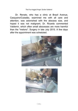 The Four-legged Angel -Scribe Valdemir
Dr. Renato, who has a clinic at Brazil Avenue,
Casqueiro/Cubatão, examined me with all care and
attention, was astonished with the abscess size, and
hoped it was not malignant, Dr. Ricardo commented
Valdemir, which often small abscesses are more harmful
than the "melons". Surgery in late July 2015. A few days
after the appointment was scheduled.
[ 105 ]
 