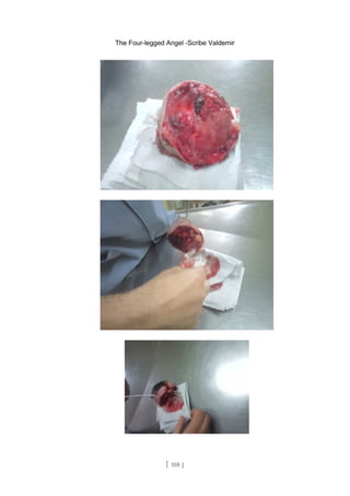 The Four-legged Angel -Scribe Valdemir
[ 108 ]
 