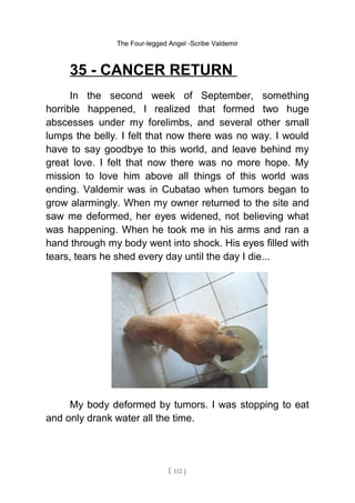 The Four-legged Angel -Scribe Valdemir
35 - CANCER RETURN
In the second week of September, something
horrible happened, I realized that formed two huge
abscesses under my forelimbs, and several other small
lumps the belly. I felt that now there was no way. I would
have to say goodbye to this world, and leave behind my
great love. I felt that now there was no more hope. My
mission to love him above all things of this world was
ending. Valdemir was in Cubatao when tumors began to
grow alarmingly. When my owner returned to the site and
saw me deformed, her eyes widened, not believing what
was happening. When he took me in his arms and ran a
hand through my body went into shock. His eyes filled with
tears, tears he shed every day until the day I die...
My body deformed by tumors. I was stopping to eat
and only drank water all the time.
[ 112 ]
 