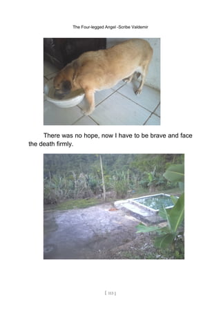 The Four-legged Angel -Scribe Valdemir
There was no hope, now I have to be brave and face
the death firmly.
[ 113 ]
 