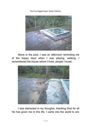 The Four-legged Angel -Scribe Valdemir
Alone in the pool, I was an afternoon reminding me
of the happy days when I was playing, walking. I
remembered the house where I lived, people I loved.
I was distracted in my thoughts, thanking God for all
He has given me in this life. I came into the world to win
[ 114 ]
 