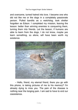 The Four-legged Angel -Scribe Valdemir
and overcome, turned hatred into love. I became one who
did not like me or the dogs in a completely passionate
person. Pulled bandits as a watchdog, took shelter
forgotten as Edson. I completed my mission, leaving the
lesson: better than winning enemies is conquering them,
turning them into friends. Let the lesson; if humans are
able to learn from the dogs, I do not know, maybe yes
learn something, so alone, will have been worth my
existence.
- Hello, friend, my eternal friend, there you go with
this phone, is taking pictures of me to his memory? I'm
already dying to miss you. The pain of the disease is
nothing near the longing pain. I am sad to have to end our
coexistence.
[ 115 ]
 