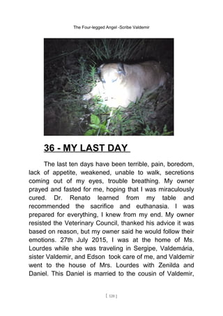 The Four-legged Angel -Scribe Valdemir
36 - MY LAST DAY
The last ten days have been terrible, pain, boredom,
lack of appetite, weakened, unable to walk, secretions
coming out of my eyes, trouble breathing. My owner
prayed and fasted for me, hoping that I was miraculously
cured. Dr. Renato learned from my table and
recommended the sacrifice and euthanasia. I was
prepared for everything, I knew from my end. My owner
resisted the Veterinary Council, thanked his advice it was
based on reason, but my owner said he would follow their
emotions. 27th July 2015, I was at the home of Ms.
Lourdes while she was traveling in Sergipe, Valdemária,
sister Valdemir, and Edson took care of me, and Valdemir
went to the house of Mrs. Lourdes with Zenilda and
Daniel. This Daniel is married to the cousin of Valdemir,
[ 120 ]
 