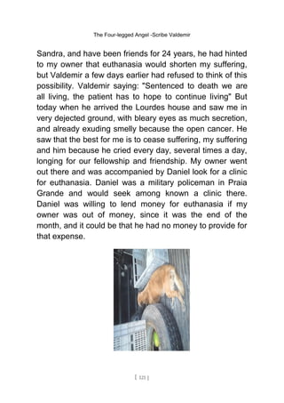 The Four-legged Angel -Scribe Valdemir
Sandra, and have been friends for 24 years, he had hinted
to my owner that euthanasia would shorten my suffering,
but Valdemir a few days earlier had refused to think of this
possibility. Valdemir saying: "Sentenced to death we are
all living, the patient has to hope to continue living" But
today when he arrived the Lourdes house and saw me in
very dejected ground, with bleary eyes as much secretion,
and already exuding smelly because the open cancer. He
saw that the best for me is to cease suffering, my suffering
and him because he cried every day, several times a day,
longing for our fellowship and friendship. My owner went
out there and was accompanied by Daniel look for a clinic
for euthanasia. Daniel was a military policeman in Praia
Grande and would seek among known a clinic there.
Daniel was willing to lend money for euthanasia if my
owner was out of money, since it was the end of the
month, and it could be that he had no money to provide for
that expense.
[ 121 ]
 