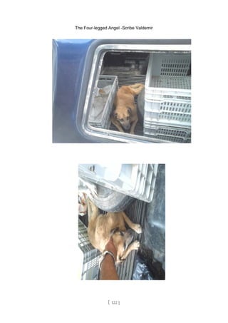 The Four-legged Angel -Scribe Valdemir
[ 122 ]
 