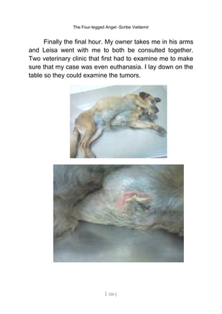 The Four-legged Angel -Scribe Valdemir
Finally the final hour. My owner takes me in his arms
and Leisa went with me to both be consulted together.
Two veterinary clinic that first had to examine me to make
sure that my case was even euthanasia. I lay down on the
table so they could examine the tumors.
[ 126 ]
 