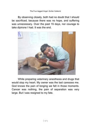 The Four-legged Angel -Scribe Valdemir
By observing closely, both had no doubt that I should
be sacrificed, because there was no hope, and suffering
was unnecessary. Over the past 15 days, nor courage to
take dipirone I had. It was the end.
While preparing veterinary anesthesia and drugs that
would stop my heart. My owner was the last caresses me.
God knows the pain of longing we felt in those moments.
Cancer was nothing, the pain of separation was very
large. But I was resigned to my fate.
[ 127 ]
 