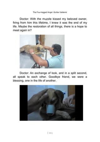 The Four-legged Angel -Scribe Valdemir
Doctor: With the muzzle kissed my beloved owner,
firing from him this lifetime, I knew it was the end of my
life. Maybe the restoration of all things, there is a hope to
meet again in?
Doctor: An exchange of look, and in a split second,
all speak to each other. Goodbye friend, we were a
blessing, one in the life of another.
[ 133 ]
 