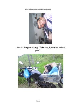 The Four-legged Angel -Scribe Valdemir
Look at the guy asking: "Take me, I promise to love
you!"
[ 141 ]
 