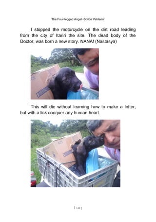 The Four-legged Angel -Scribe Valdemir
I stopped the motorcycle on the dirt road leading
from the city of Itariri the site. The dead body of the
Doctor, was born a new story. NANA! (Nastasya)
This will die without learning how to make a letter,
but with a lick conquer any human heart.
[ 142 ]
 