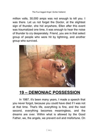 The Four-legged Angel -Scribe Valdemir
million volts, 30,000 amps was not enough to kill you. I
was there. Let us not forget the Doctor, at the slightest
sign of thunder, she hid anywhere, Ellen after this event
was traumatized one time, it was enough to hear the noise
of thunder to cry desperately. Friend, you are in that select
group of people who were hit by lightning, and another
group who survived.
19 – DEMONIAC POSSESSION
In 1987, it's been many years, I made a speech that
you never forgot, because you could have died if I was not
at that time. That's life, everything is fine, and the next
second, everything becomes meaningless, and the
dreams are over. Within what is allowed by the Good
Father, we, the angels, we prevent evil and misfortune. On
[ 160 ]
 