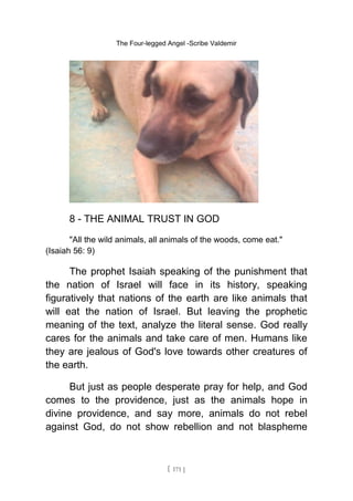 The Four-legged Angel -Scribe Valdemir
8 - THE ANIMAL TRUST IN GOD
"All the wild animals, all animals of the woods, come eat."
(Isaiah 56: 9)
The prophet Isaiah speaking of the punishment that
the nation of Israel will face in its history, speaking
figuratively that nations of the earth are like animals that
will eat the nation of Israel. But leaving the prophetic
meaning of the text, analyze the literal sense. God really
cares for the animals and take care of men. Humans like
they are jealous of God's love towards other creatures of
the earth.
But just as people desperate pray for help, and God
comes to the providence, just as the animals hope in
divine providence, and say more, animals do not rebel
against God, do not show rebellion and not blaspheme
[ 171 ]
 