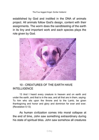 The Four-legged Angel -Scribe Valdemir
established by God and instilled in the DNA of animals
project. All animals follow God's design, content with their
assignments. The worm does the sandblasting of the earth
in its tiny and important work and each species plays the
role given by God.
10 - CREATURES OF THE EARTH HAVE
INTELLIGENCE
13 And I heard every creature in heaven and on earth and
under the earth, and that is in the sea, and all that are in them, saying:
To him who sits upon the throne and to the Lamb, be given
thanksgiving and honor and glory and dominion for ever and ever.
(Revelation 5:13)
As human civilization comes into moral collapse at
the end of time, John saw something extraordinary during
his state of spiritual bliss. John saw somehow all creatures
[ 173 ]
 