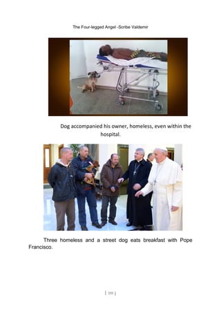 The Four-legged Angel -Scribe Valdemir
Dog accompanied his owner, homeless, even within the
hospital.
Three homeless and a street dog eats breakfast with Pope
Francisco.
[ 191 ]
 