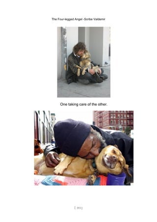 The Four-legged Angel -Scribe Valdemir
One taking care of the other.
[ 193 ]
 