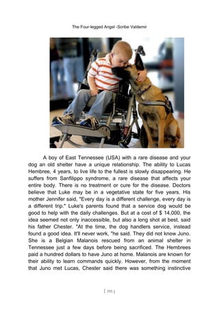 The Four-legged Angel -Scribe Valdemir
A boy of East Tennessee (USA) with a rare disease and your
dog an old shelter have a unique relationship. The ability to Lucas
Hembree, 4 years, to live life to the fullest is slowly disappearing. He
suffers from Sanfilippo syndrome, a rare disease that affects your
entire body. There is no treatment or cure for the disease. Doctors
believe that Luke may be in a vegetative state for five years. His
mother Jennifer said, "Every day is a different challenge, every day is
a different trip." Luke's parents found that a service dog would be
good to help with the daily challenges. But at a cost of $ 14,000, the
idea seemed not only inaccessible, but also a long shot at best, said
his father Chester. "At the time, the dog handlers service, instead
found a good idea. It'll never work, "he said. They did not know Juno.
She is a Belgian Malanois rescued from an animal shelter in
Tennessee just a few days before being sacrificed. The Hembrees
paid a hundred dollars to have Juno at home. Malanois are known for
their ability to learn commands quickly. However, from the moment
that Juno met Lucas, Chester said there was something instinctive
[ 195 ]
 