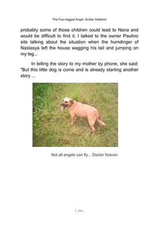 The Four-legged Angel -Scribe Valdemir
probably some of those children could lead to Nana and
would be difficult to find it. I talked to the owner Paulino
site talking about the situation when the humdinger of
Nastasya left the house wagging his tail and jumping on
my leg...
In telling the story to my mother by phone, she said:
"But this little dog is come and is already starting another
story ...
Not all angels can fly... Doctor forever.
[ 200 ]
 