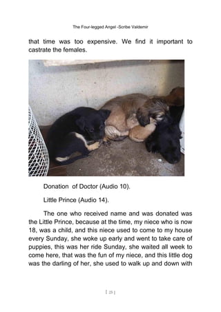 The Four-legged Angel -Scribe Valdemir
that time was too expensive. We find it important to
castrate the females.
Donation of Doctor (Audio 10).
Little Prince (Audio 14).
The one who received name and was donated was
the Little Prince, because at the time, my niece who is now
18, was a child, and this niece used to come to my house
every Sunday, she woke up early and went to take care of
puppies, this was her ride Sunday, she waited all week to
come here, that was the fun of my niece, and this little dog
was the darling of her, she used to walk up and down with
[ 25 ]
 