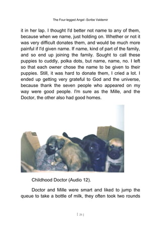 The Four-legged Angel -Scribe Valdemir
it in her lap. I thought I'd better not name to any of them,
because when we name, just holding on. Whether or not it
was very difficult donates them, and would be much more
painful if I'd given name. If name, kind of part of the family,
and so end up joining the family. Sought to call these
puppies to cuddly, polka dots, but name, name, no. I left
so that each owner chose the name to be given to their
puppies. Still, it was hard to donate them, I cried a lot. I
ended up getting very grateful to God and the universe,
because thank the seven people who appeared on my
way were good people. I'm sure as the Mille, and the
Doctor, the other also had good homes.
Childhood Doctor (Audio 12).
Doctor and Mille were smart and liked to jump the
queue to take a bottle of milk, they often took two rounds
[ 26 ]
 