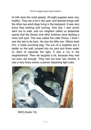 The Four-legged Angel -Scribe Valdemir
of milk were the most greedy. All eight puppies were very
healthy. They ran a lot in the yard, and learned things with
the other two adult dogs living in the backyard. It was very
funny they barking and running. One day, I and Junior
went out to walk, and our neighbor called us desperate
saying that the Doctor and other brothers were beating a
more soft spot. This was called the Little Prince, I think I
was the last to be born. He was the little one. Others beat
him, it made punching bag. The son of a neighbor put a
ladder on the wall, jumped into my yard and threw water
on them to separate the fight. It was a run in the
neighborhood. Then we laughed a lot, because they had
not even old enough. They had not even two months, it
was a very funny scene, a person departing fight cubs.
NGO (Audio 13).
[ 27 ]
 