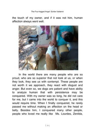 The Four-legged Angel -Scribe Valdemir
the touch of my owner, and if it was not him, human
affection always went well.
In the world there are many people who are so
proud, who are so superior that not look at us, or when
they look, they see us with contempt. These people are
not worth it we approach, they react with disgust and
anger. But even so, we dogs are patient and have ability
to analyze human that with persistence may be
conquered. With my owner was so long, he did not care
for me, but I came into the world to conquer it, and this
would require time. When I finally conquered, he rarely
passed me without making an affection on the head or
belly. Besides him, I conquered many other people,
people who loved me really like Ms. Lourdes, Zenilda,
[ 29 ]
 