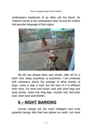 The Four-legged Angel -Scribe Valdemir
northeastern backlands of so often call the blond. As
Valdemir family is the northeastern wild, he and his mother
had peculiar language of that region.
My life has always been very simple, after all I'm a
bitch mutt, sleep anywhere, to anywhere. I am endowed
with resistance above the average of other breeds of
dogs. Leisa is also a mutt, but the size of it is different
from mine. I'm short and brown coat with short legs and
body plump. Leisa has long legs, muzzle met, two-color
coat, clear eyes and slender.
8 – NIGHT BARKING
Human beings are the most intelligent and most
powerful beings that God has placed on earth, but must
[ 41 ]
 