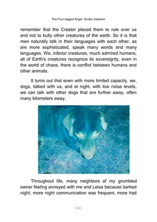 The Four-legged Angel -Scribe Valdemir
remember that the Creator placed them to rule over us
and not to bully other creatures of the earth. So it is that
men naturally talk in their languages with each other, as
are more sophisticated, speak many words and many
languages. We, inferior creatures, much admired humans,
all of Earth's creatures recognize its sovereignty, even in
the world of chaos, there is conflict between humans and
other animals.
It turns out that even with more limited capacity, we,
dogs, talked with us, and at night, with low noise levels,
we can talk with other dogs that are further away, often
many kilometers away.
Throughout life, many neighbors of my grumbled
owner feeling annoyed with me and Leisa because barked
night, more night communication was frequent, more had
[ 42 ]
 
