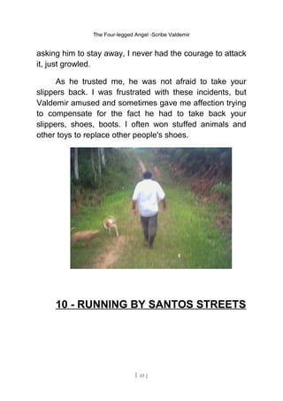 The Four-legged Angel -Scribe Valdemir
asking him to stay away, I never had the courage to attack
it, just growled.
As he trusted me, he was not afraid to take your
slippers back. I was frustrated with these incidents, but
Valdemir amused and sometimes gave me affection trying
to compensate for the fact he had to take back your
slippers, shoes, boots. I often won stuffed animals and
other toys to replace other people's shoes.
10 - RUNNING BY SANTOS STREETS
[ 45 ]
 
