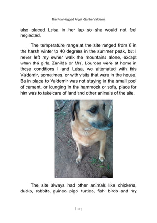 The Four-legged Angel -Scribe Valdemir
also placed Leisa in her lap so she would not feel
neglected.
The temperature range at the site ranged from 8 in
the harsh winter to 40 degrees in the summer peak, but I
never left my owner walk the mountains alone, except
when the girls, Zenilda or Mrs. Lourdes were at home in
these conditions I and Leisa, we alternated with this
Valdemir, sometimes, or with visits that were in the house.
Be in place to Valdemir was not staying in the small pool
of cement, or lounging in the hammock or sofa, place for
him was to take care of land and other animals of the site.
The site always had other animals like chickens,
ducks, rabbits, guinea pigs, turtles, fish, birds and my
[ 58 ]
 