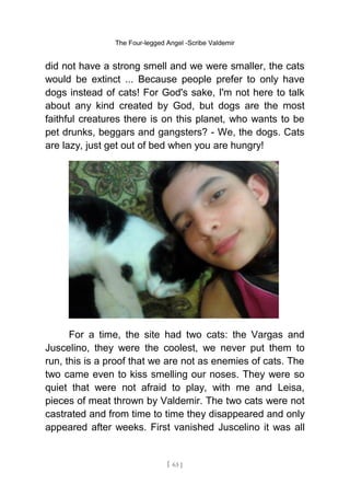 The Four-legged Angel -Scribe Valdemir
did not have a strong smell and we were smaller, the cats
would be extinct ... Because people prefer to only have
dogs instead of cats! For God's sake, I'm not here to talk
about any kind created by God, but dogs are the most
faithful creatures there is on this planet, who wants to be
pet drunks, beggars and gangsters? - We, the dogs. Cats
are lazy, just get out of bed when you are hungry!
For a time, the site had two cats: the Vargas and
Juscelino, they were the coolest, we never put them to
run, this is a proof that we are not as enemies of cats. The
two came even to kiss smelling our noses. They were so
quiet that were not afraid to play, with me and Leisa,
pieces of meat thrown by Valdemir. The two cats were not
castrated and from time to time they disappeared and only
appeared after weeks. First vanished Juscelino it was all
[ 63 ]
 