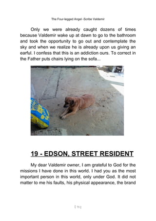 The Four-legged Angel -Scribe Valdemir
Only we were already caught dozens of times
because Valdemir wake up at dawn to go to the bathroom
and took the opportunity to go out and contemplate the
sky and when we realize he is already upon us giving an
earful. I confess that this is an addiction ours. To correct in
the Father puts chairs lying on the sofa...
19 - EDSON, STREET RESIDENT
My dear Valdemir owner, I am grateful to God for the
missions I have done in this world. I had you as the most
important person in this world, only under God. It did not
matter to me his faults, his physical appearance, the brand
[ 71 ]
 