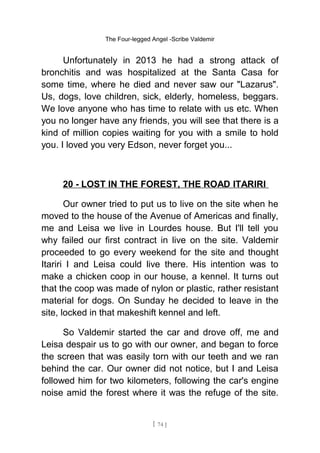 The Four-legged Angel -Scribe Valdemir
Unfortunately in 2013 he had a strong attack of
bronchitis and was hospitalized at the Santa Casa for
some time, where he died and never saw our "Lazarus".
Us, dogs, love children, sick, elderly, homeless, beggars.
We love anyone who has time to relate with us etc. When
you no longer have any friends, you will see that there is a
kind of million copies waiting for you with a smile to hold
you. I loved you very Edson, never forget you...
20 - LOST IN THE FOREST, THE ROAD ITARIRI
Our owner tried to put us to live on the site when he
moved to the house of the Avenue of Americas and finally,
me and Leisa we live in Lourdes house. But I'll tell you
why failed our first contract in live on the site. Valdemir
proceeded to go every weekend for the site and thought
Itariri I and Leisa could live there. His intention was to
make a chicken coop in our house, a kennel. It turns out
that the coop was made of nylon or plastic, rather resistant
material for dogs. On Sunday he decided to leave in the
site, locked in that makeshift kennel and left.
So Valdemir started the car and drove off, me and
Leisa despair us to go with our owner, and began to force
the screen that was easily torn with our teeth and we ran
behind the car. Our owner did not notice, but I and Leisa
followed him for two kilometers, following the car's engine
noise amid the forest where it was the refuge of the site.
[ 74 ]
 