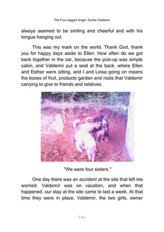 The Four-legged Angel -Scribe Valdemir
always seemed to be smiling and cheerful and with his
tongue hanging out.
This was my mark on the world. Thank God, thank
you for happy days aside to Ellen. How often do we got
back together in the car, because the pick-up was simple
cabin, and Valdemir put a seat at the back, where Ellen
and Esther were sitting, and I and Leisa going on means
the boxes of fruit, products garden and roots that Valdemir
carrying to give to friends and relatives.
"We were four sisters."
One day there was an accident at the site that left me
worried. Valdemir was on vacation, and when that
happened, our stay at the site came to last a week. At that
time they were in place, Valdemir, the two girls, owner
[ 81 ]
 