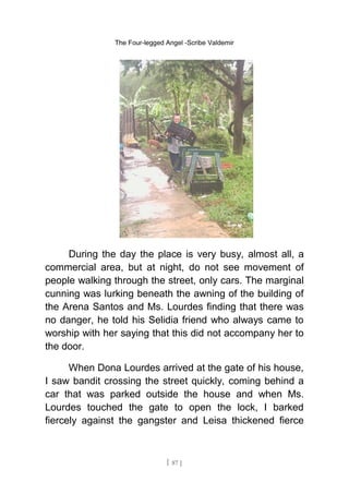 The Four-legged Angel -Scribe Valdemir
During the day the place is very busy, almost all, a
commercial area, but at night, do not see movement of
people walking through the street, only cars. The marginal
cunning was lurking beneath the awning of the building of
the Arena Santos and Ms. Lourdes finding that there was
no danger, he told his Selidia friend who always came to
worship with her saying that this did not accompany her to
the door.
When Dona Lourdes arrived at the gate of his house,
I saw bandit crossing the street quickly, coming behind a
car that was parked outside the house and when Ms.
Lourdes touched the gate to open the lock, I barked
fiercely against the gangster and Leisa thickened fierce
[ 87 ]
 