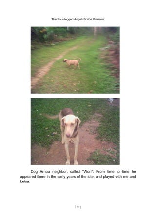 The Four-legged Angel -Scribe Valdemir
Dog Arnou neighbor, called "Won". From time to time he
appeared there in the early years of the site, and played with me and
Leisa.
[ 97 ]
 