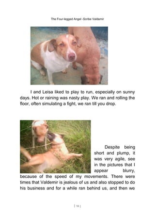 The Four-legged Angel -Scribe Valdemir
I and Leisa liked to play to run, especially on sunny
days. Hot or raining was nasty play. We ran and rolling the
floor, often simulating a fight, we ran till you drop.
Despite being
short and plump, it
was very agile, see
in the pictures that I
appear blurry,
because of the speed of my movements. There were
times that Valdemir is jealous of us and also stopped to do
his business and for a while ran behind us, and then we
[ 98 ]
 